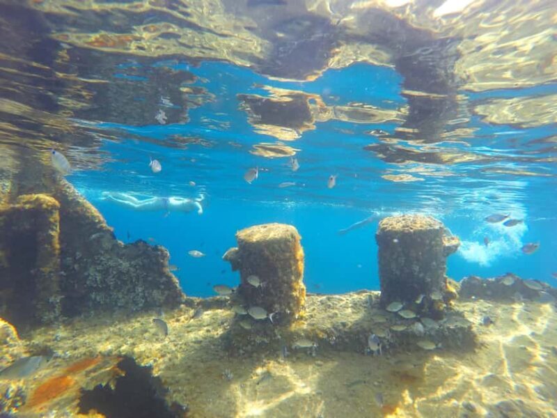 Zadar: Dugi Otok Island - 2x Snorkeling & Sandy Beach - 7 hr - Final Thoughts