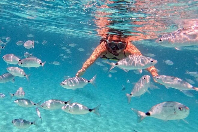 Zadar: Dugi Otok Island Discovery Day Trip With Snorkeling - Natural Attractions