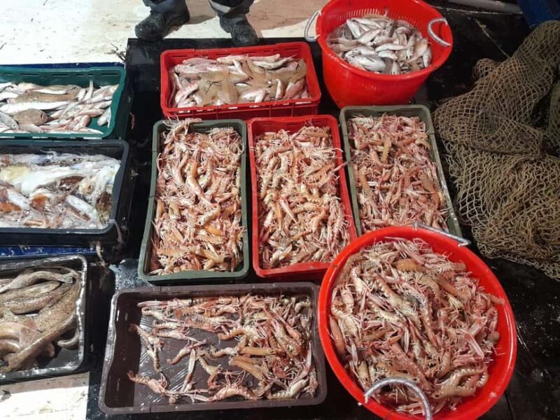 Zadar: Fishing Boat Trip with Lunch and Swimming Included - Setting Sail from Zadar