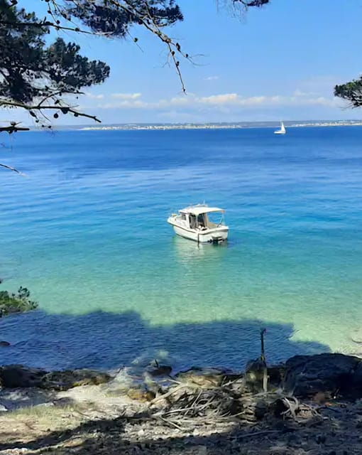 Zadar: Half-Day Island-Hopping and Lagoons Cruise with Fruit - Good To Know