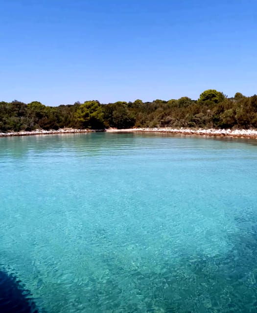 Zadar: Half-Day Island-Hopping and Lagoons Cruise With Fruit - Customer Ratings