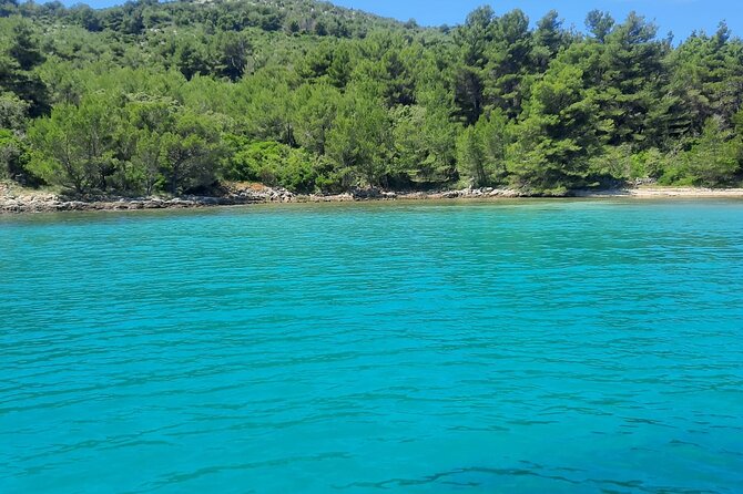 Zadar Half Day Tour With Luxury Speedboat - End Point