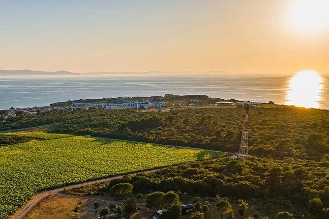 Zadar Hinterland Wine Route - The Sum Up: Is the Zadar Hinterland Wine Route Worth It?