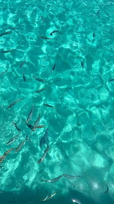 Zadar: Island Hopping by Speedboat with Wine & Fruit - Authenticity & Unique Aspects