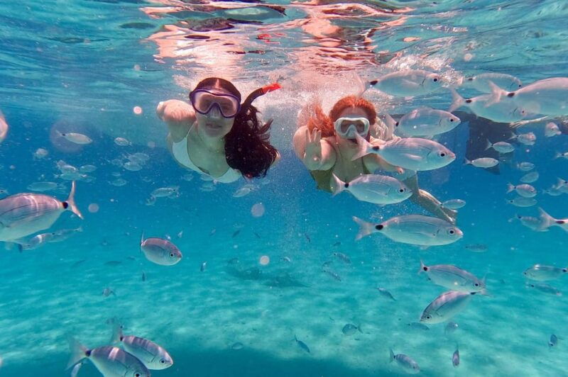 Zadar: Island-Hopping, Swimming & Snorkeling SpeedBoat Tour - An In-Depth Look at the Zadar Speedboat Tour