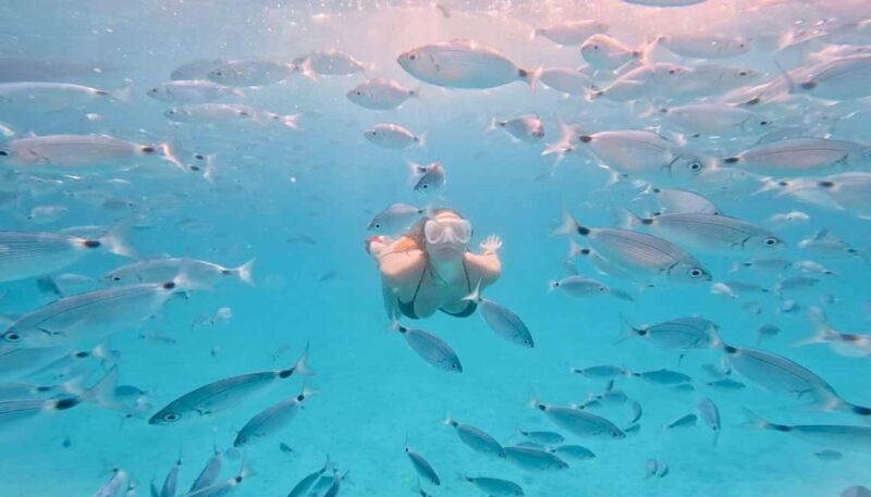 Zadar: Island Luxury Speedboat Tour with Snorkeling - Introduction: What Makes This Tour Stand Out?