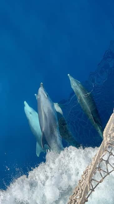 Zadar: Kornati National Park & Cliffs of Telascica - FAQ