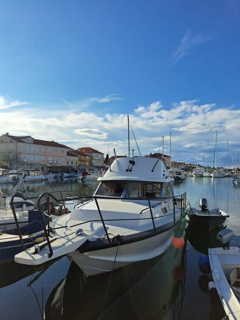 Zadar: Private Boat Tour to Croation Islands - Half Day - Good To Know