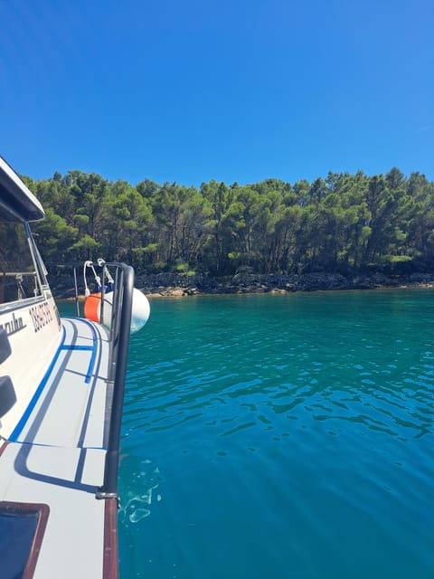 Zadar: Private Tour to Ugljan, Osljak and Galevac - Half Day - Itinerary Details