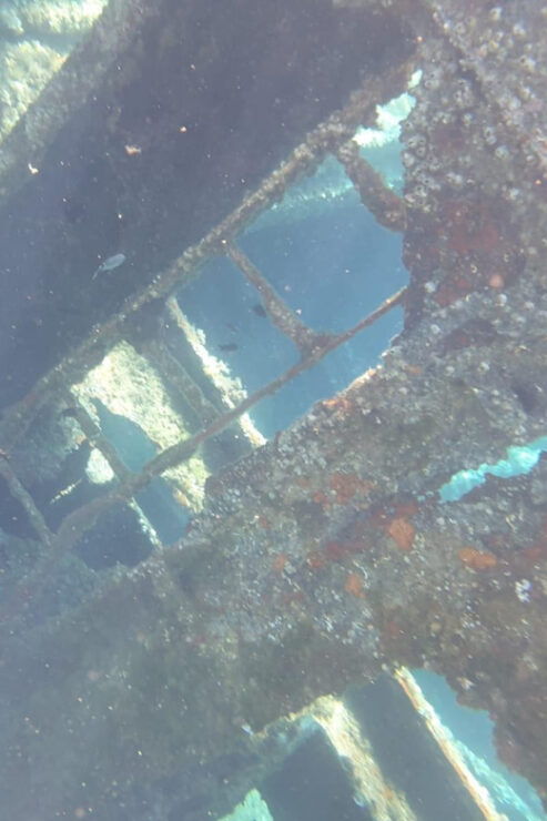 Zadar Royal Tour Dugi Otok Sakarun Sunken Ship With Lunch! - Detailed Itinerary