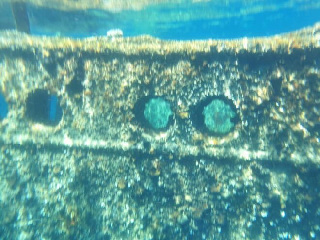 Zadar Royal Tour Dugi Otok Sakarun Sunken Ship With Lunch! - Included Features