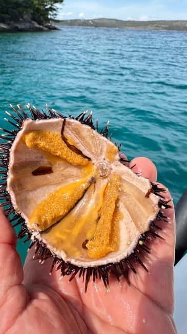 Zadar: Sakarun beach and sunken ship Michelle - A Closer Look at the Itinerary and Experience