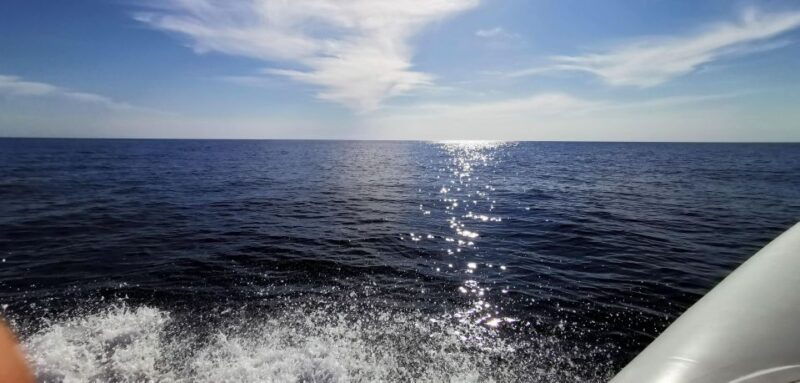 Zadar: Sakarun, Cave, Blue Lagoon, Dragon Eye & Snorkel Tour - Who Will Love This Tour?