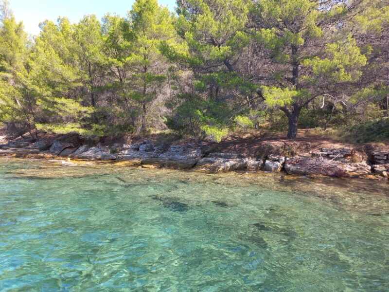 Zadar: Sea, Sun, and Wind Half-Day Sailing Adventure - The Experience in Depth