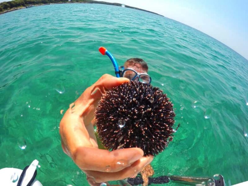 Zadar: Shipwreck Dive, Sandy Beach, Lighthouse & Island Tour - Authentic Insights from Reviewers