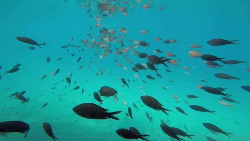 Zadar: Shipwreck Dive, Sandy Beach, Lighthouse & Island Tour - Transportation & Practical Tips