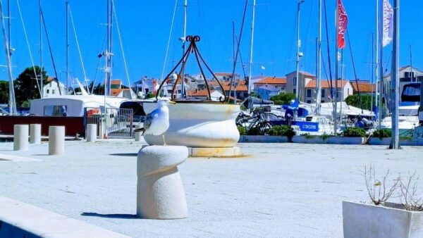 Zadar: Speedboat Individual Tour With German Guiding - Scenic Landscapes and Architecture