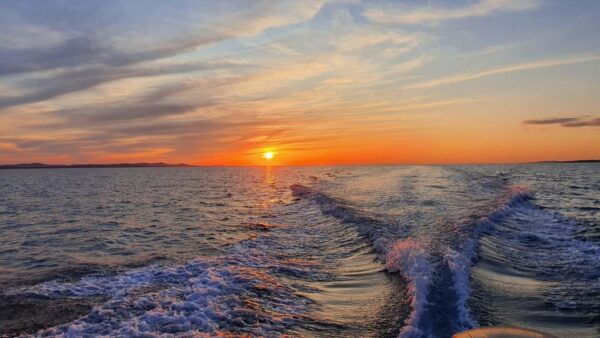 Zadar: Speedboat Individual Tour With German Guiding - Relaxation and Local Cuisine