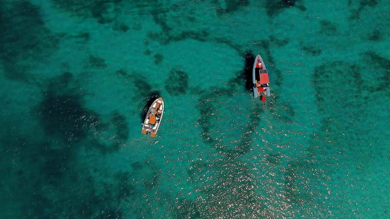 Zadar: Speedboat Tour with Snorkeling & Fruit All Inclusive - Introduction