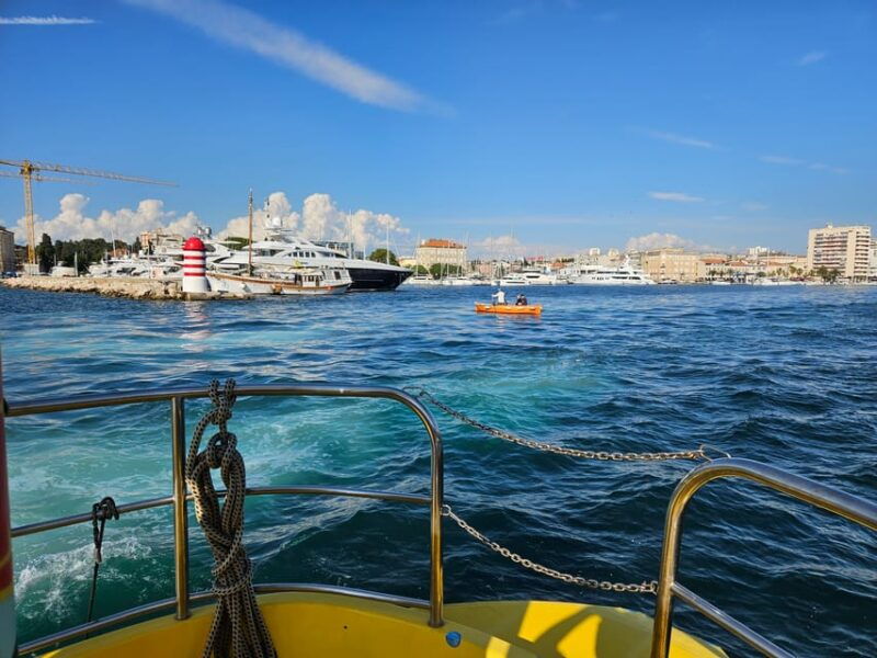 Zadar: Yellow Semi-Submarine Underwater Exploration Tour - Detailed Breakdown: Why Every Element Matters