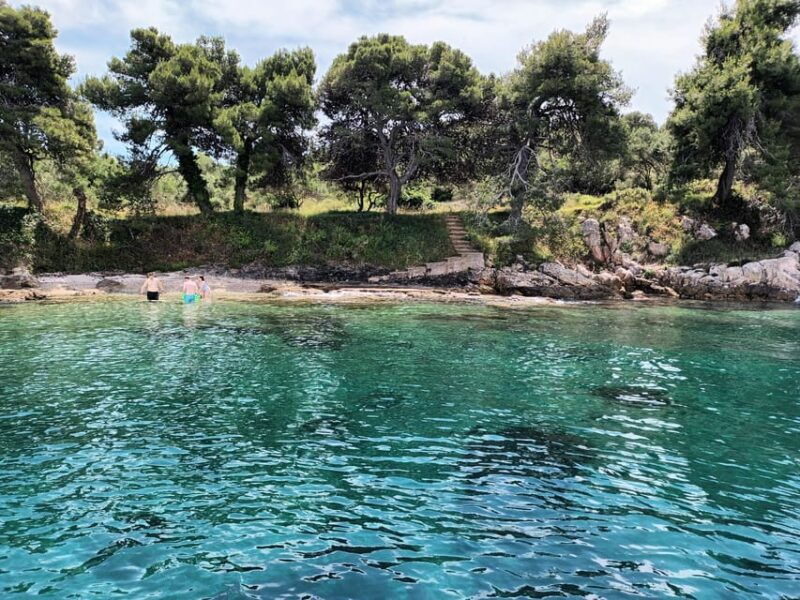 Zadar:Ugljan, Frnaa,Galevac &Oljak free beer & anchovies - The Practical Side