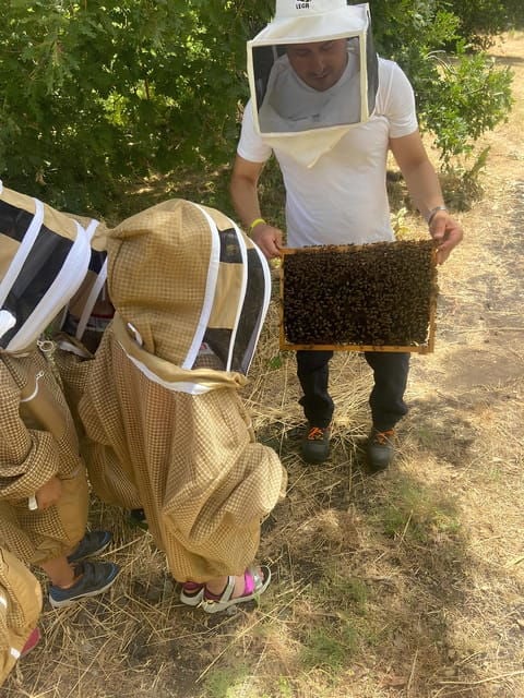 Zafferana Etnea: Honey Extraction Workshop and Honey Tasting - Important Considerations