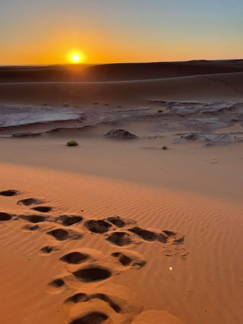 Zagora 2 Days Desert Tour From Marrakech - Highlights & Experience