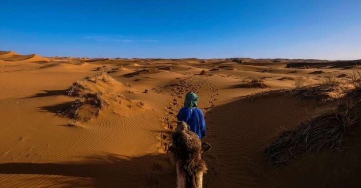 Zagora Desert Adventure - Highlights and Activities