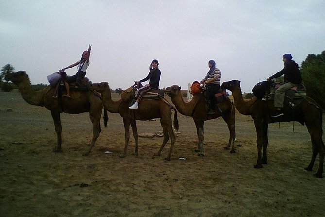 Zagora Desert Night Excursion From Marrakech - Good To Know