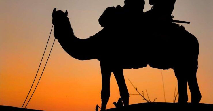 Zagora Desert & Sahara Overnight Camp 2 Days From Marrakech - Booking Details and Flexibility