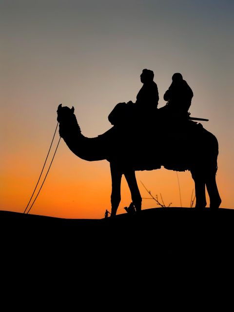 Zagora Desert & Sahara Overnight Camp 2 Days From Marrakech - Experiences and Activities