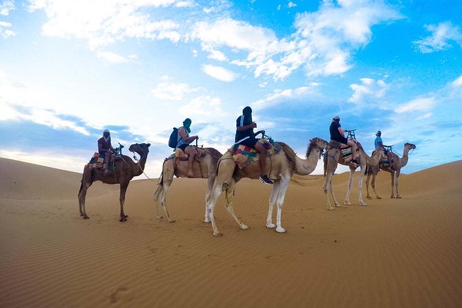Zagora Desert Tour 2 Days 1 Night From Marrakech - Tour Highlights