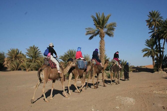 Zagora & Kasbahs 2 Day Desert Tour From Marrakech - Common Questions