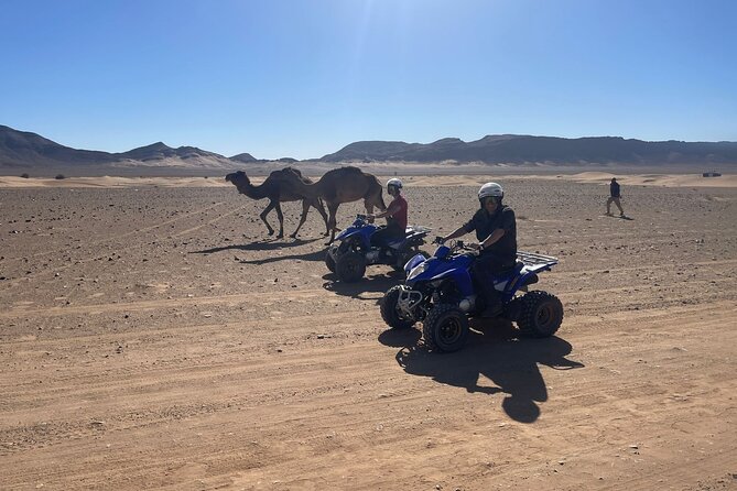Zagora Quad - Quad Excursions - Pricing and Booking Information