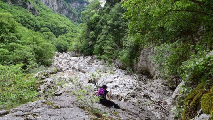 Zagori: Hiking In Vikos Gorge - Booking Details