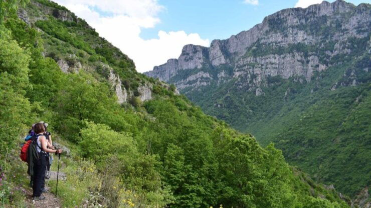 Zagori: Hiking In Vikos Gorge - Experience Highlights
