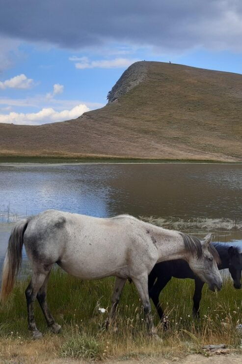 Zagori-Vikos: All Inclusive Tour From Athens - Itinerary Highlights