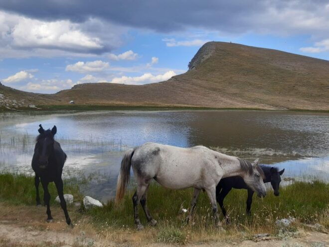 Zagori-Vikos: All Inclusive Tour From Athens - Important Information