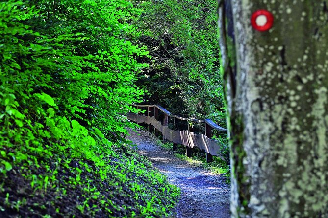 Zagreb Hiking Trail on Medvednica Mountain - Trail Name and Location