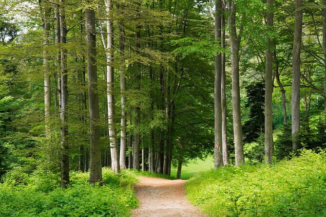 Zagreb Hiking Trail on Medvednica Mountain - Cancellation Policy