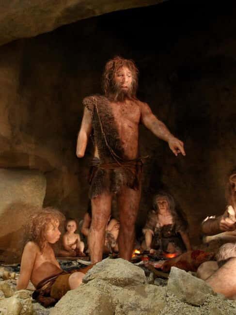 Zagreb: Krapina Neanderthal Museum & Trakoan Castle Tour - An Introduction to the Tour Experience