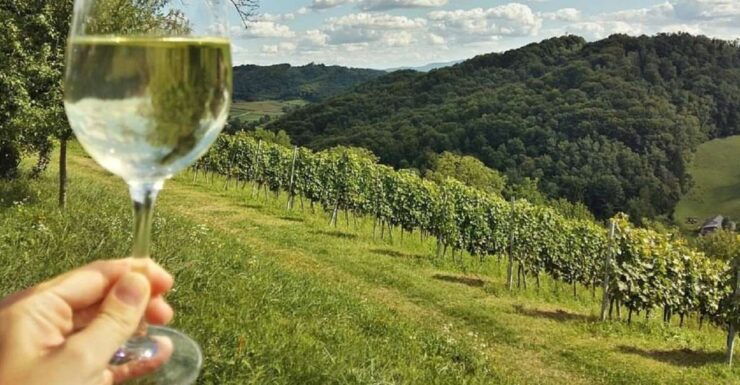 Zagreb: Plesivica Hills and Samobor Tour With Wine Tasting - Experience Highlights