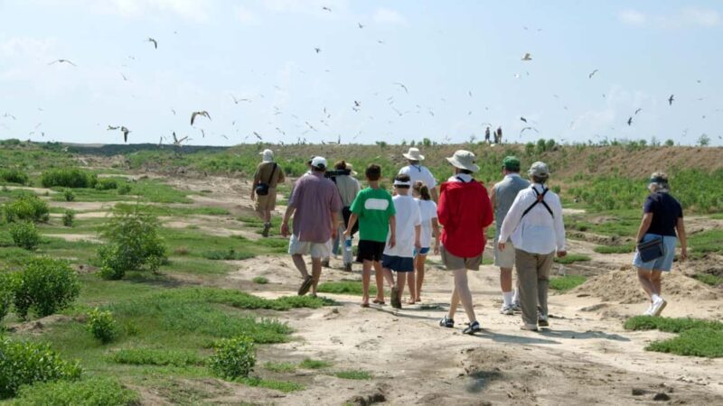 Zagreb: Science Tours, Zagreat Outdoors - Detailed Review of Zagreb’s Science & Outdoors Tour