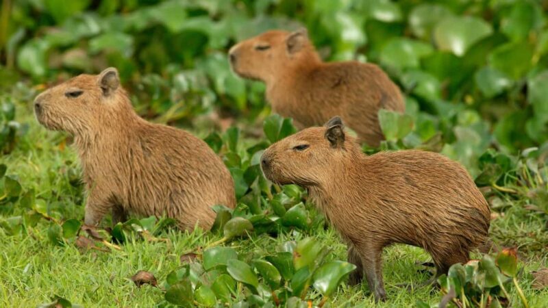 Zagreb: Science Tours, Zagreat Outdoors - The Sum Up