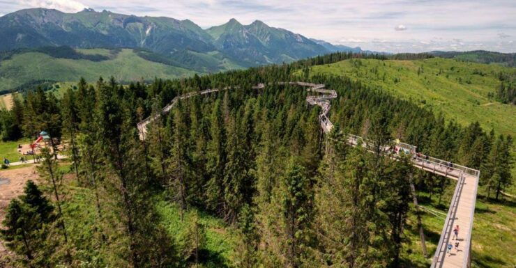 Zakopane: Bachledka Treetop Walk and Strbske Pleso Tour - Tour Overview