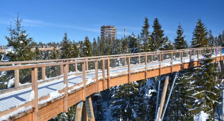 Zakopane: Bachledka Treetop Walk and Strbske Pleso Tour - Activity Details