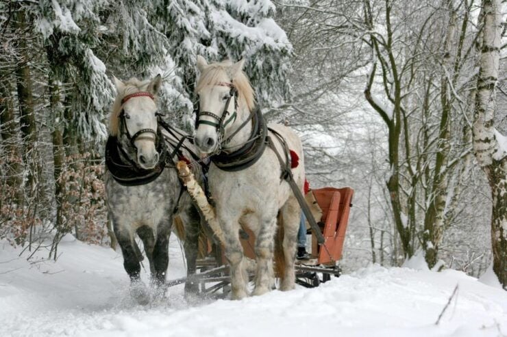 Zakopane: Horse-Drawn Rides With Local Guide & Food Tasting - Itinerary and Experience