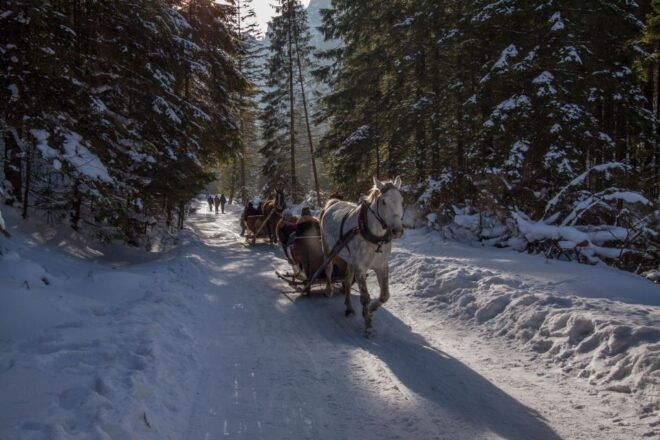 Zakopane: Horse-Drawn Rides With Local Guide & Food Tasting - Inclusions and Important Information