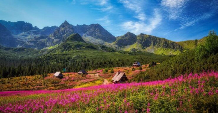 Zakopane: Private City Tour - Tour Details