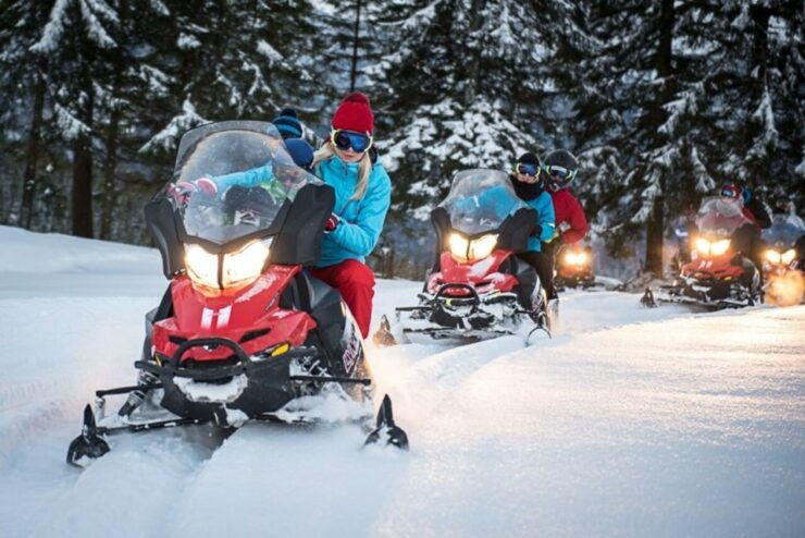 Zakopane: Snowmobile Adventure in Tatra Mountains - Experience Details
